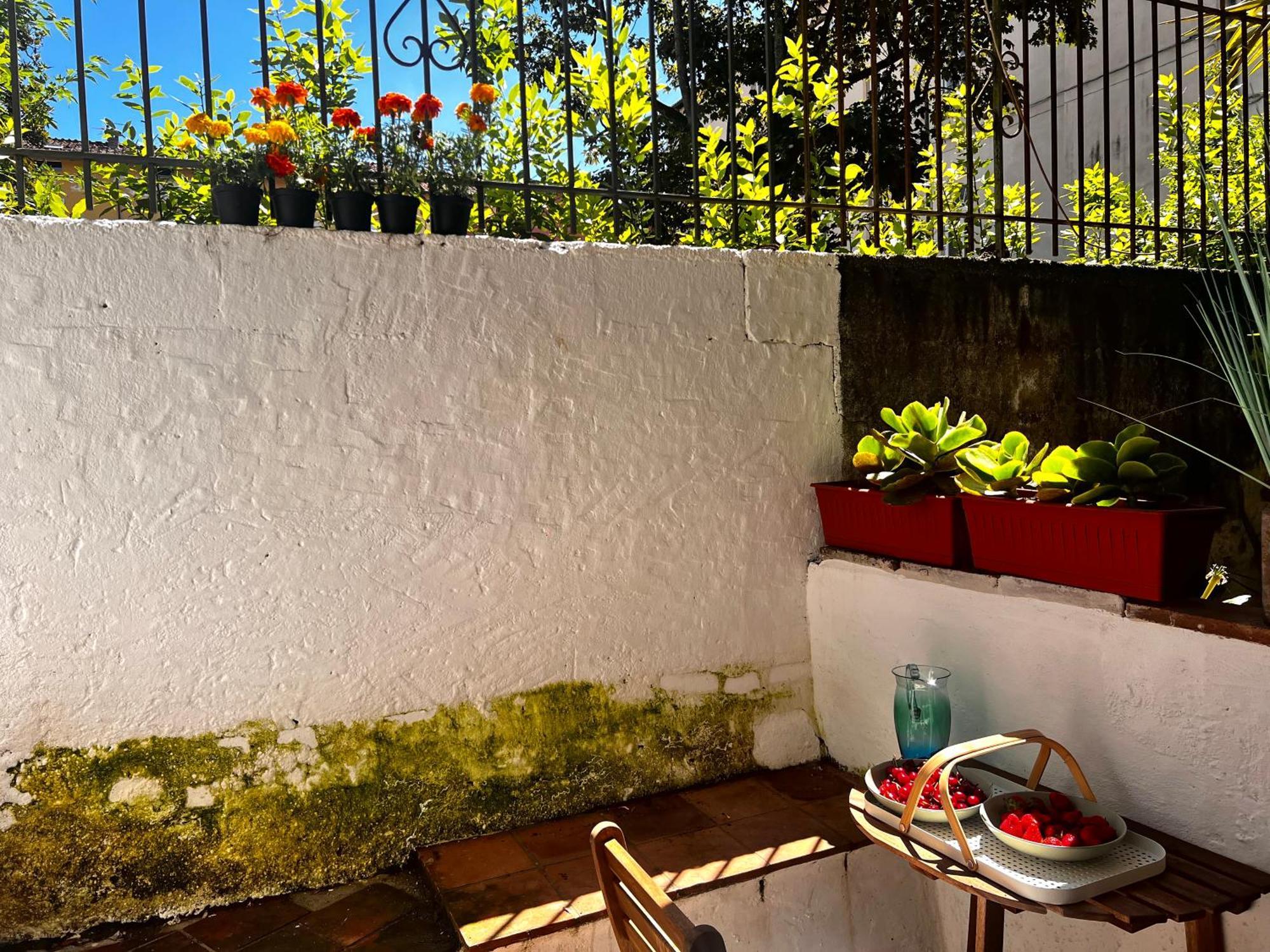 Apartmán Casa In Pelleria Lucca Exteriér fotografie